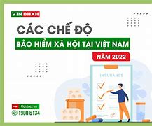 Chế Độ Hưởng Hvc Là Gì