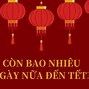 Những Tháng Có 30 Ngày Năm 2024